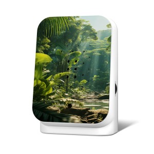 RelaxBox Dżungla Maliau